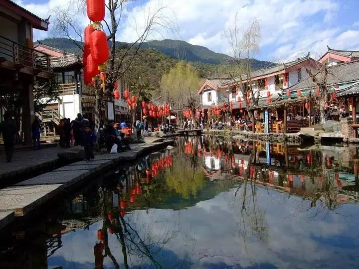 探索普洱茶怎么冲泡最好热点话题,共享与交流精彩见解